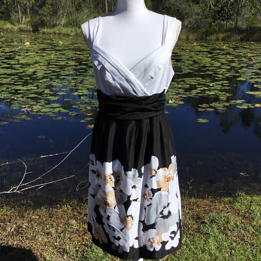 Blu Sage Dress Size 8